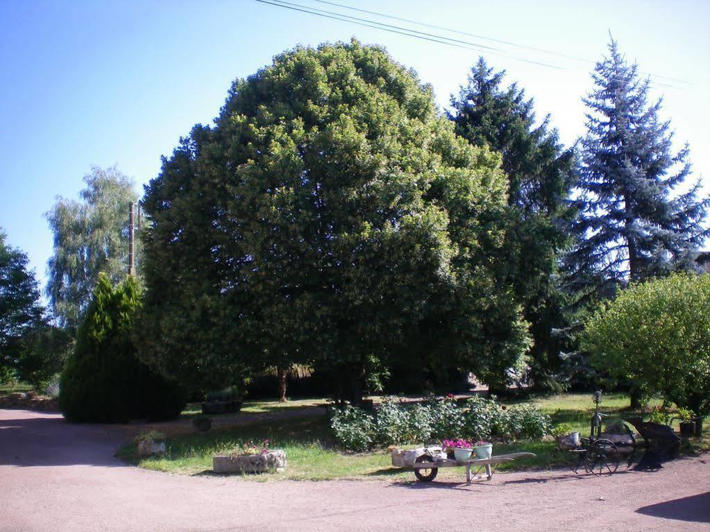Hotel Manoir Henri IV à Bessines-sur-Gartempe Extérieur photo